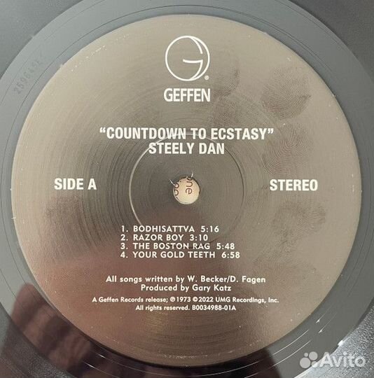 Виниловая пластинка Steely Dan - Countdown To Ecst