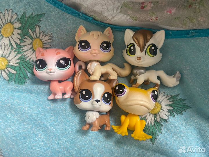Littlest pet shop