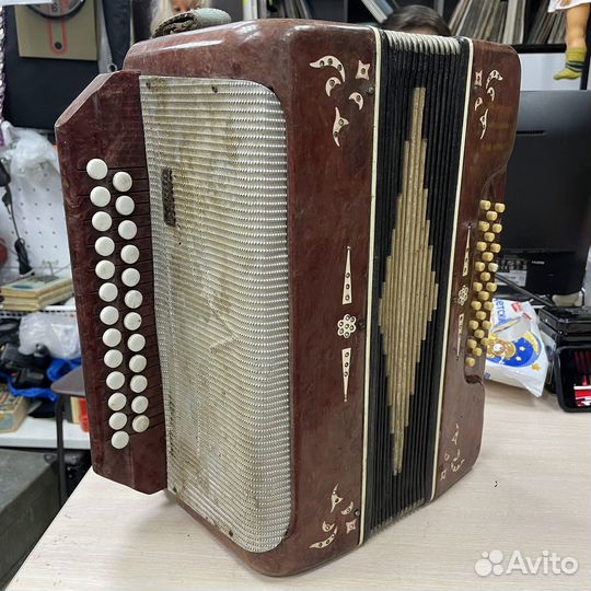 Гармонь Беларусь СССР (Сзр)