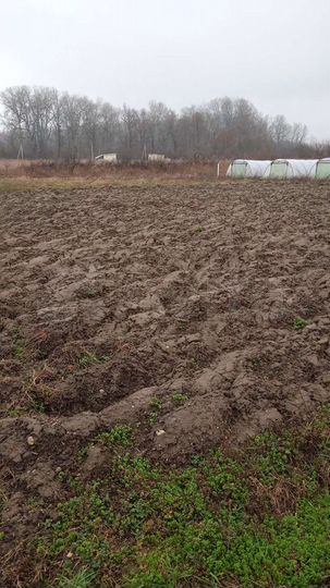 Участок 50 сот. (промназначения)