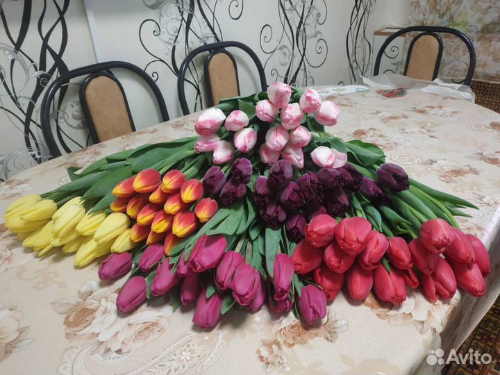 Тюльпаны к 8 марта в розницу