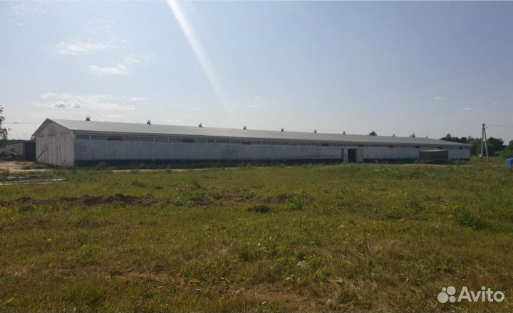 Действующая ферма Шипулино