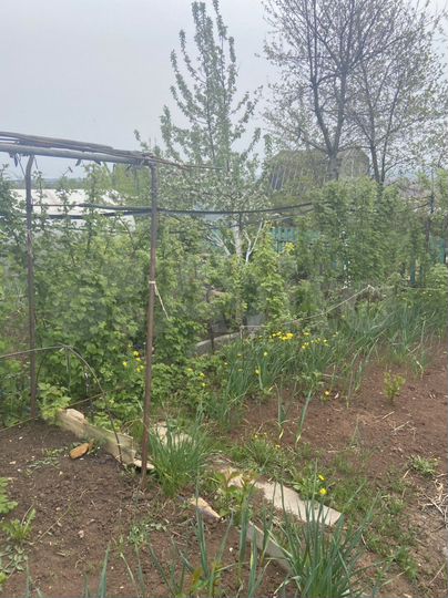 Дача 30 м² на участке 4 сот.