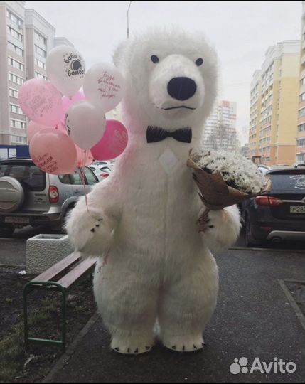 Поздравление от белого мишки Темы и его друзей