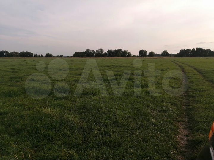 Участок 1,98 га (ИЖС)