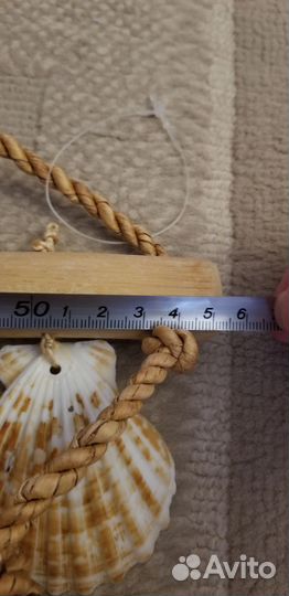 Сеть с морскими ракушками