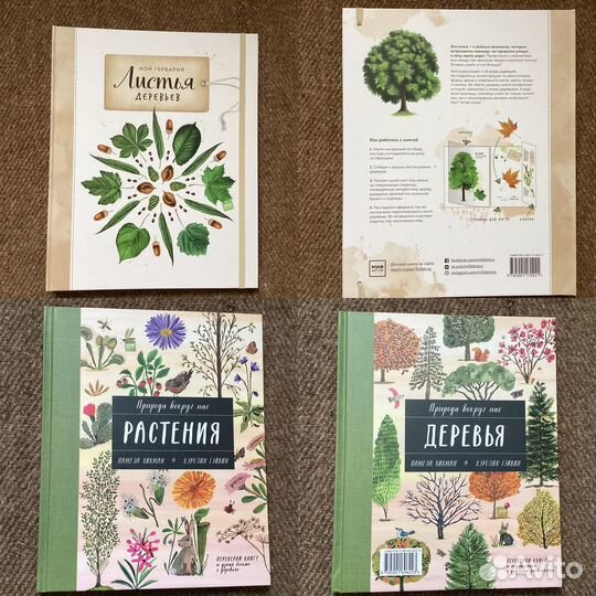 Новые книги для детей