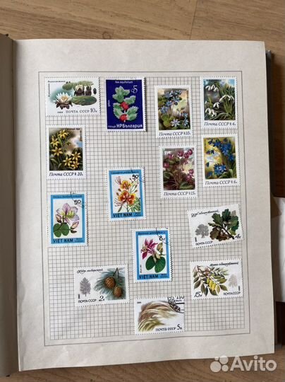 Альбом с марками (жучки, паучки, грибы)
