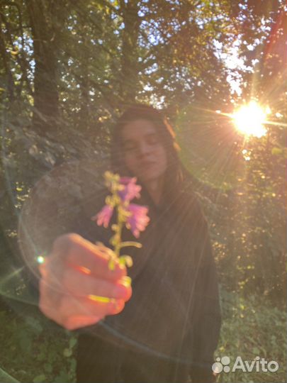 Репетитор по химии (дистанционно)