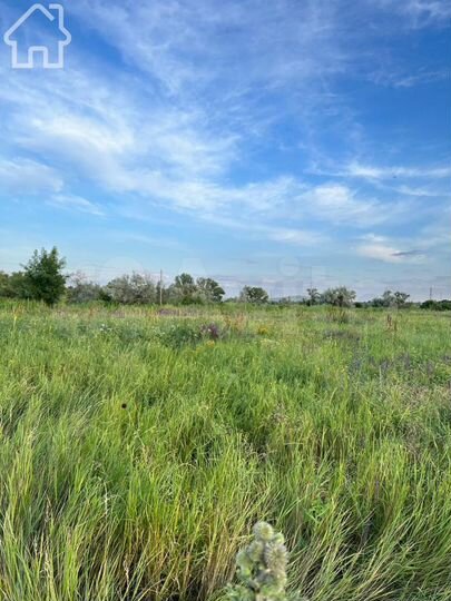 Участок 10 сот. (СНТ, ДНП)