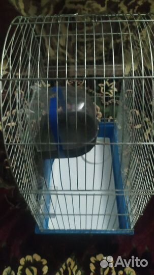 Клетка для попугая