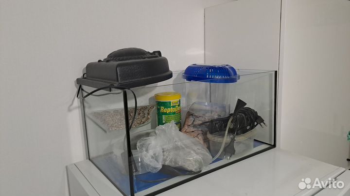 Террариум для красноухой черепахи