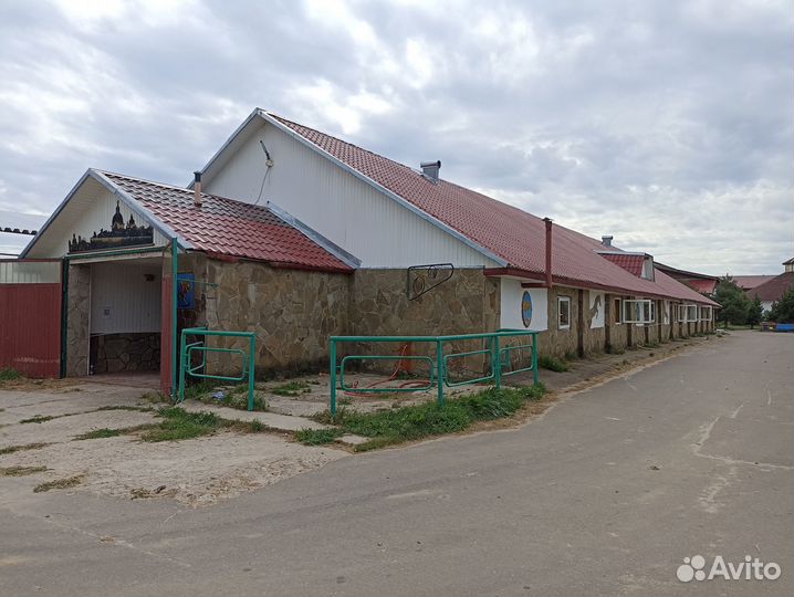 Постой лошадей (аренда денника/конюшни)