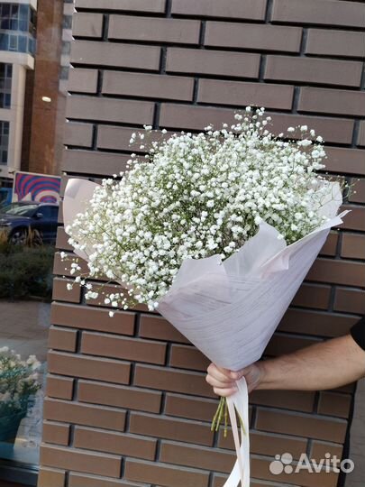 Букет из гипсофилы