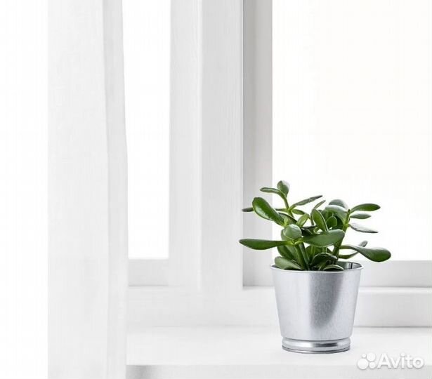 Горшки для цветов и рассады (9)