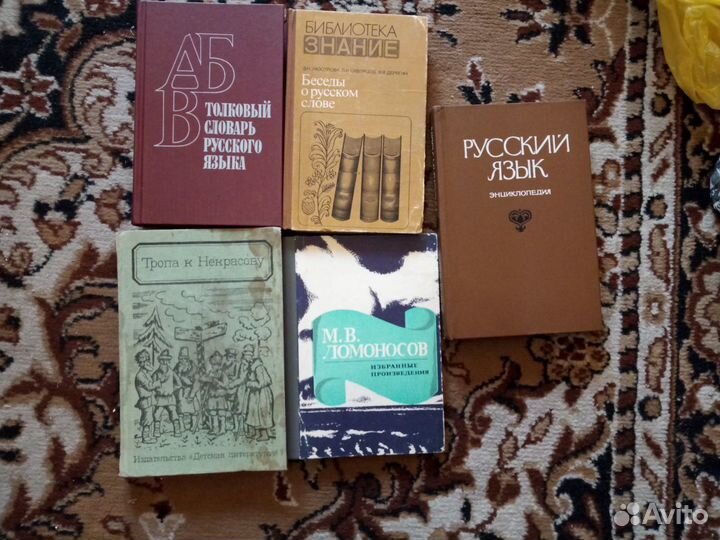 Книги по русскому и литературе