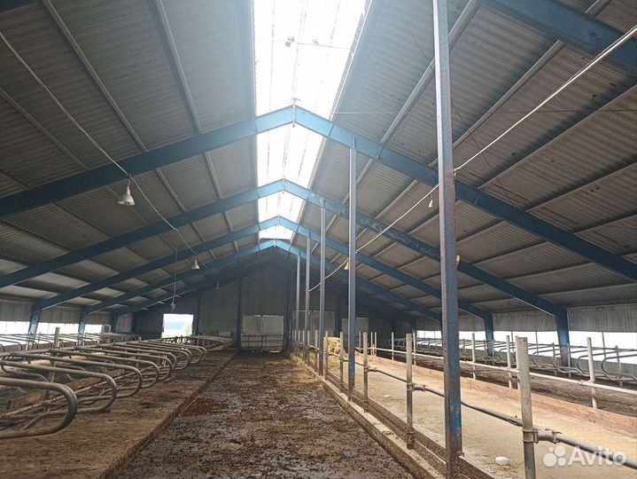 Продам ангар, металлоконструкций ферму крс