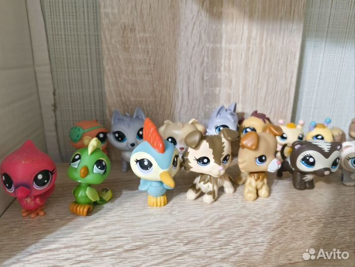 Littlest pet shop