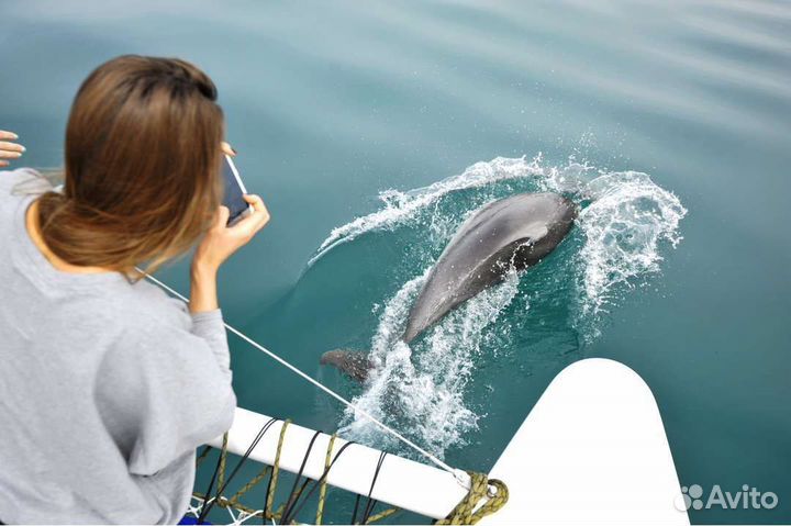 Морская прогулка 