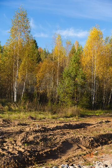 Участок 10 сот. (СНТ, ДНП)