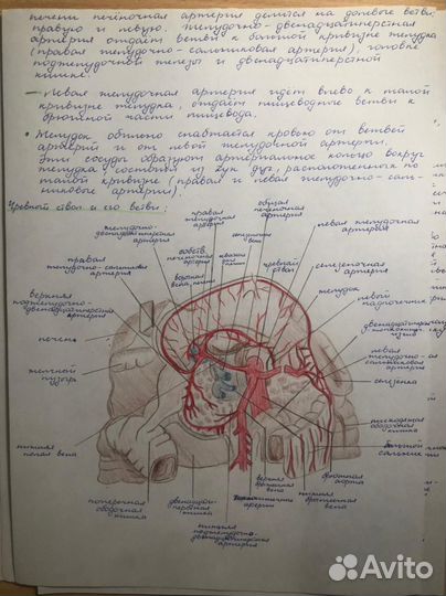 Написание конспектов