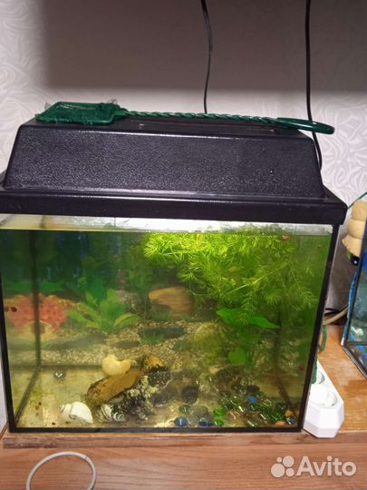 Аквариум