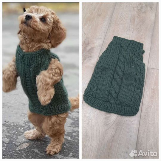 Одежда для собак