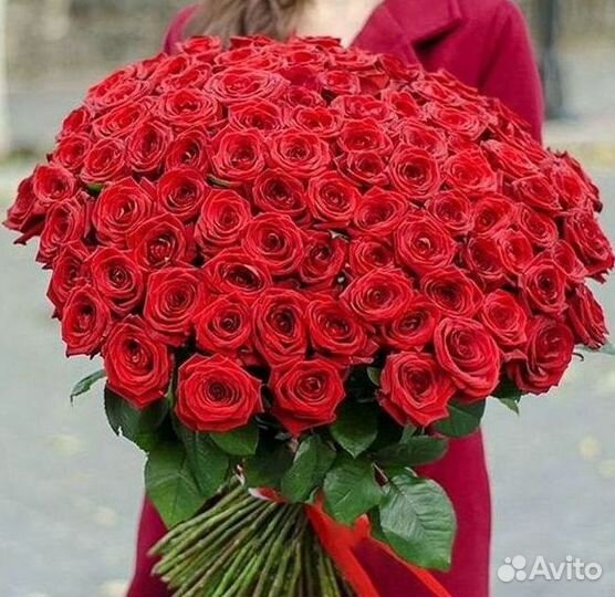 Высокие Розы с Доставкой