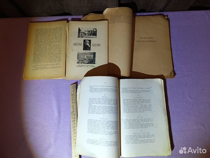 Тимирязев Подборка