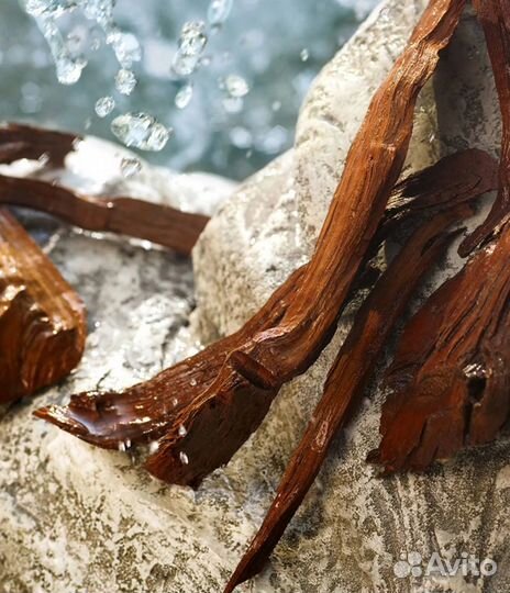 Духи dolce gabbana light blue