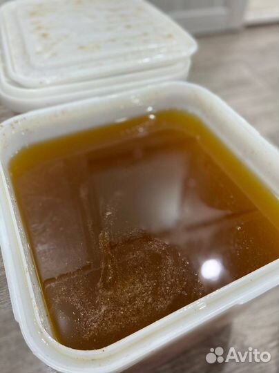 Мед Алтайское разнотравье оптом 2023