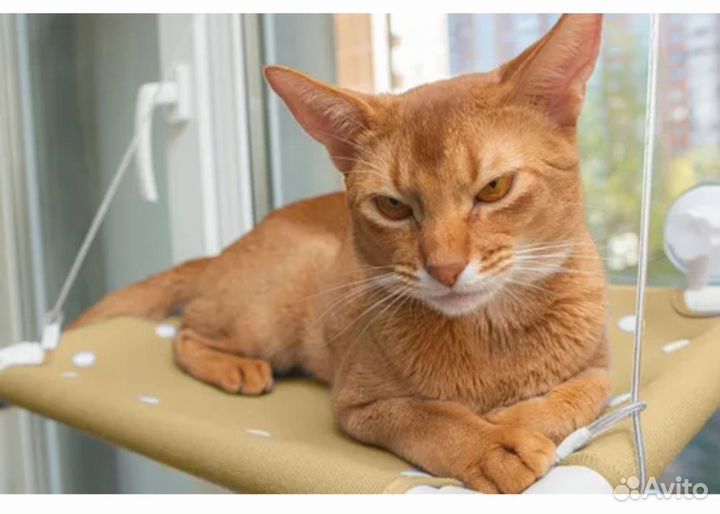 Лежанка для кошек