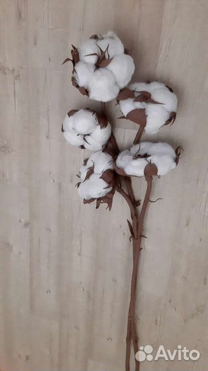 Хлопок декоративный