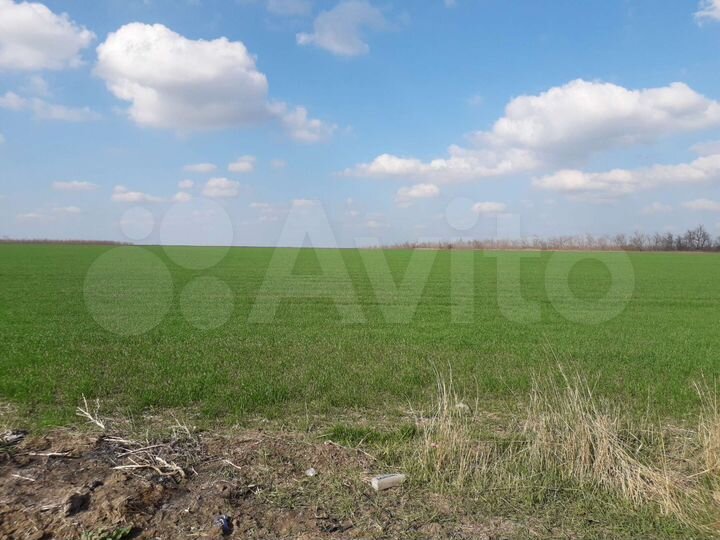 Участок 4,57 га (СНТ, ДНП)