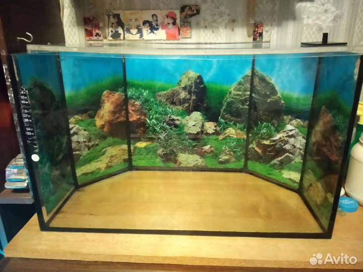 Аквариум