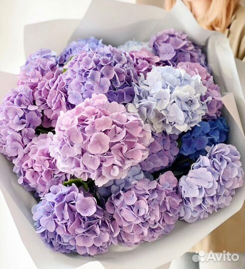 Букеты Гортензии