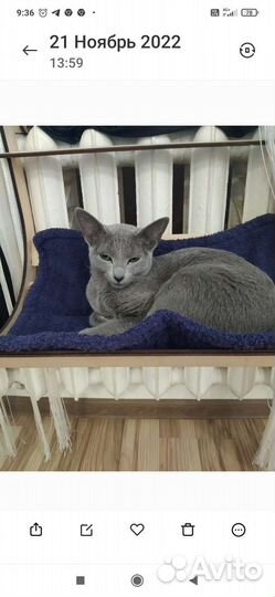 Гамак для кошек на батарею