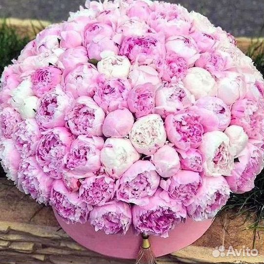 Пионы Розы Доставка