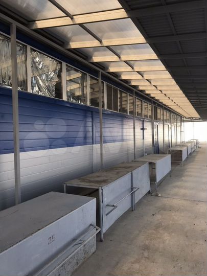 Торговая площадь, 1250 м²