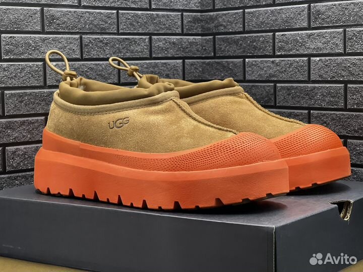 Слипоны Угги UGG Tasman Hybrid унисекс