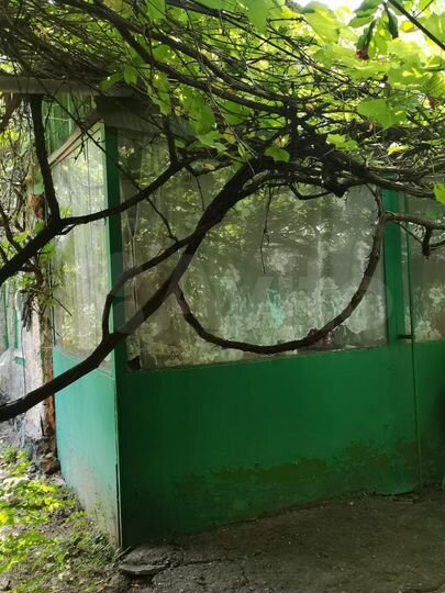 Дом 32 м² на участке 14 сот.