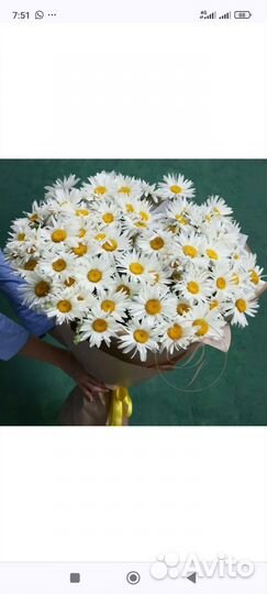 Букет ромашек