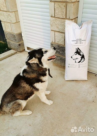 Сухой корм для собак
