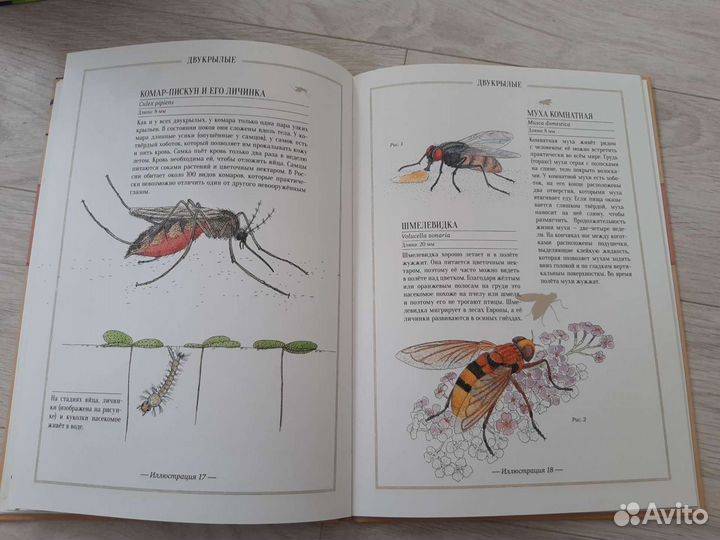 Книги для детей