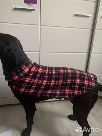 Попона утепленная для средних собак