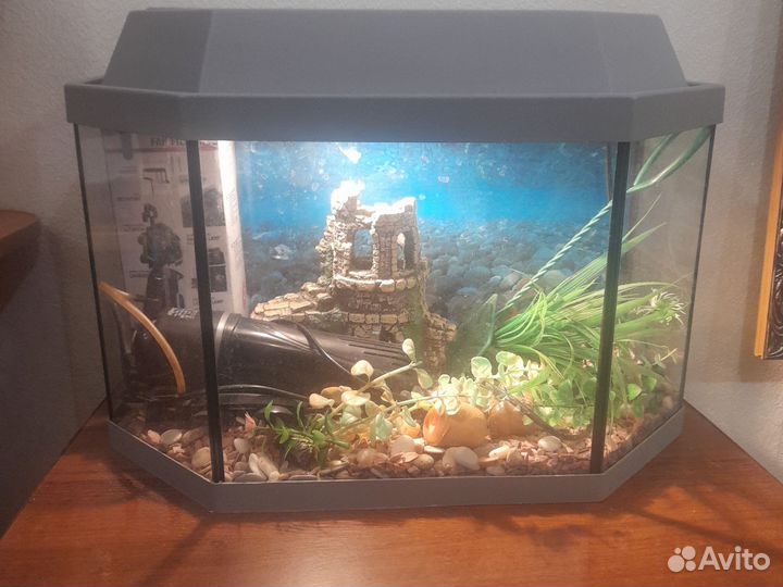 Аквариум