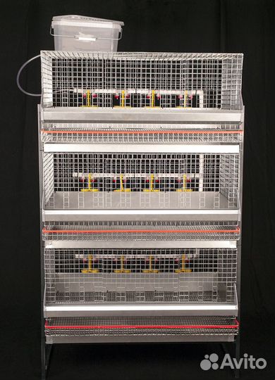Клетки для кур (несушек/бройлеров) на 30 голов