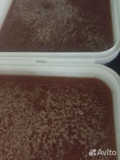 Мед гречишный. Цветочный