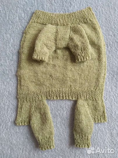 Одежда для животных