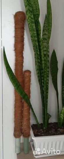 Опора для растений